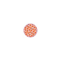 stickers naranja