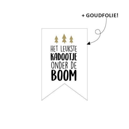 kerst sticker vaantje leukste kadootje