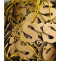 gouden letter s