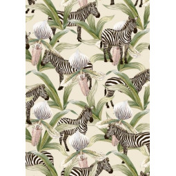 kadopapier zebra jungle