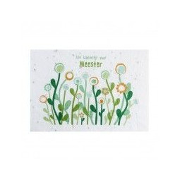 groeikaart bloemetje meester