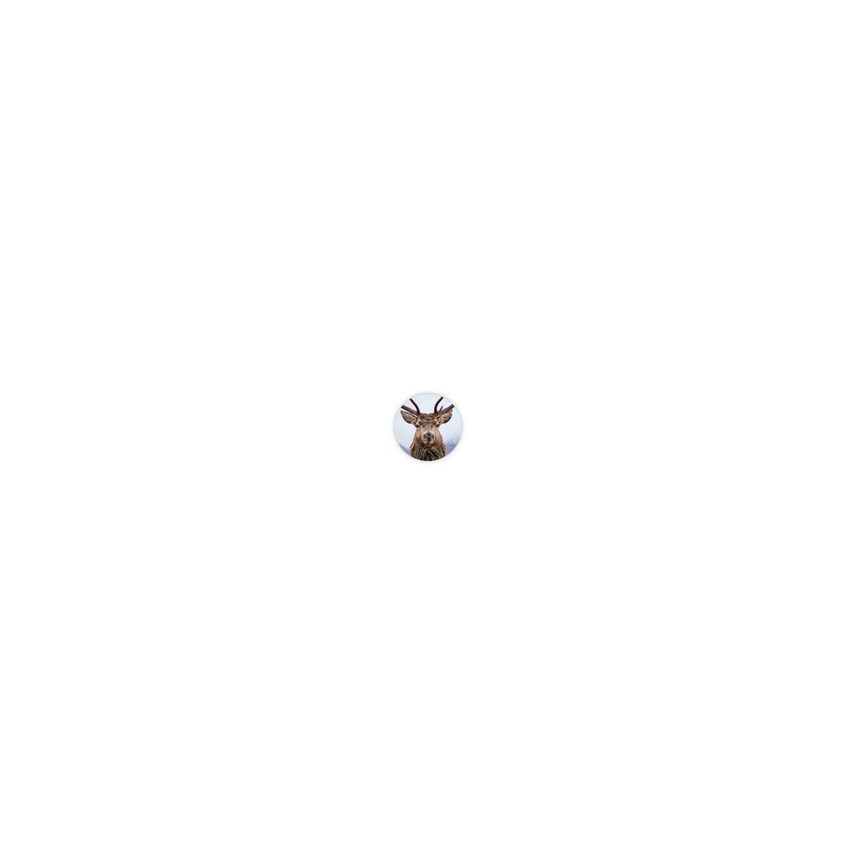 sticker foto rendier