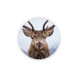 sticker foto rendier