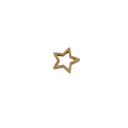 houten ster goud
