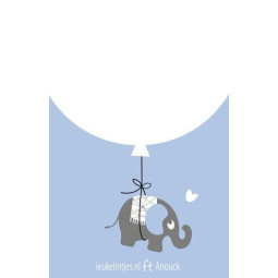 label olifant boy