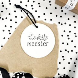 leukste meester roundie