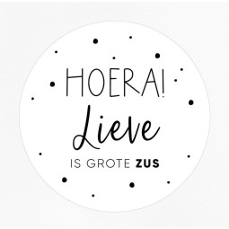 gepersonaliseerde stickervel grote zus