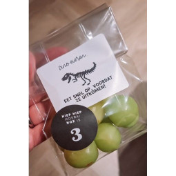sticker dino eieren