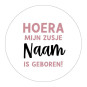stickervel zusje geboren roze