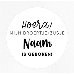 gepersonaliseerd stickervel broertje zusje