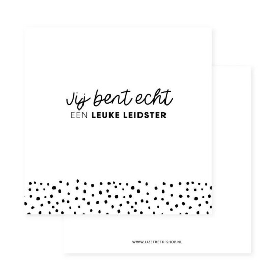 mini kaart leidster