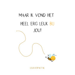 minikaart bijtje vlieg basisschool