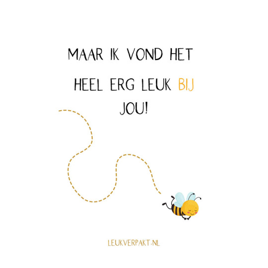minikaart bijtje vlieg basisschool