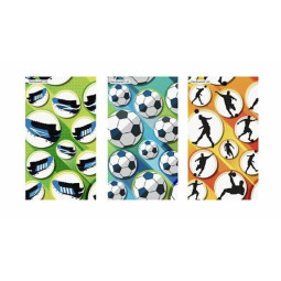 voetbal gekleurde notitieboekjes
