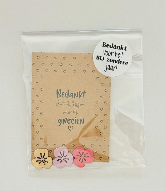 Kadosetje zomerbloemen ' bedankt dat ik bij jou mocht groeien '