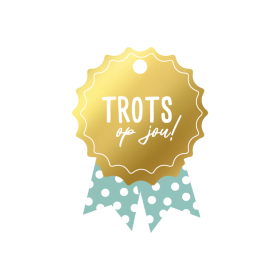 Kadolabel Medaille trots op jou ! 2 stuks
