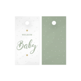 Kadolabel Welkom Baby mint/wit/goud (EG)