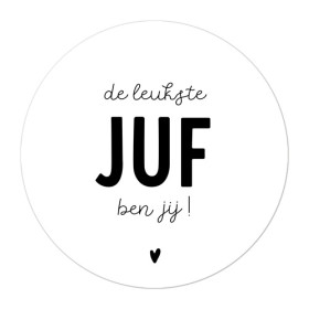 Magneet Juf