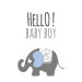 Mini kaartje olifant hello baby boy